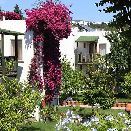 Resort Parkim Ayaz