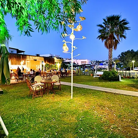 Parkim Ayaz