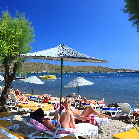 Parkim Ayaz Гумбет