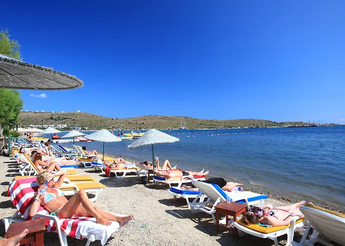 Semesteranläggning (resort) Parkim Ayaz